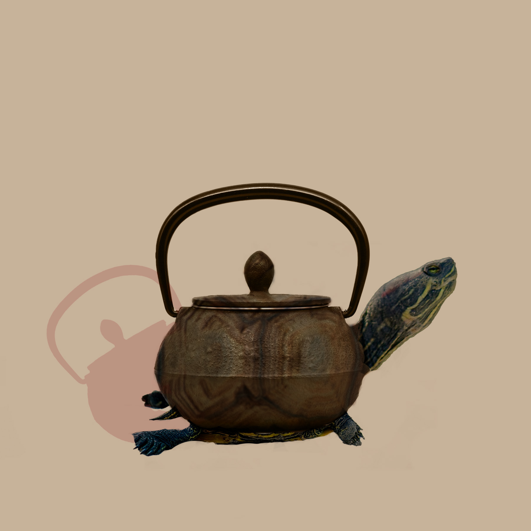 tea turtle